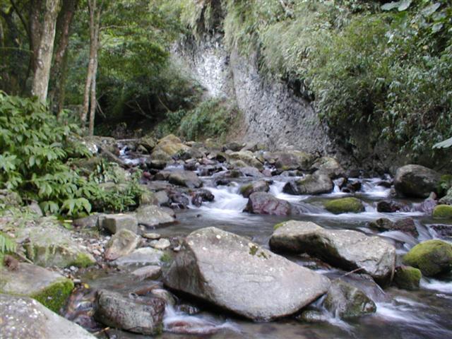 Early evening river